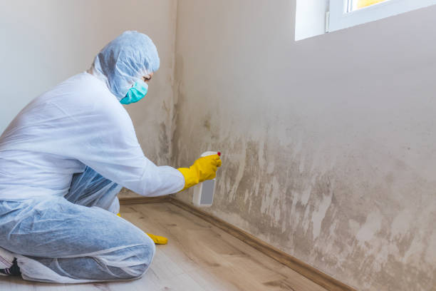 Mold Remediation specialist working in Pine Level